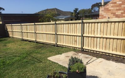 Treated pine posts vs hardwood posts