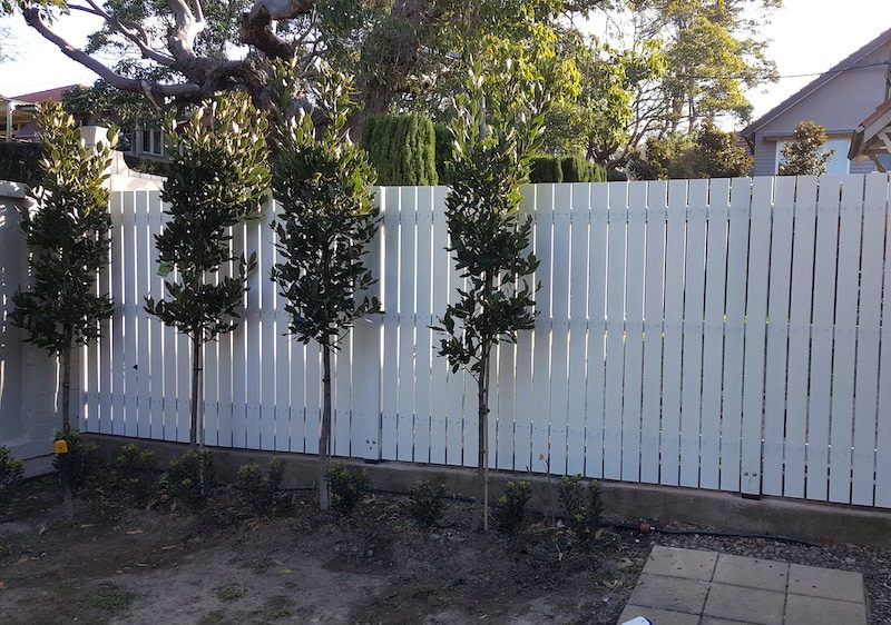 What services are offered by fencing contractors?