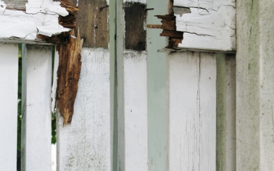 How do you know when it’s time to replace your fence?