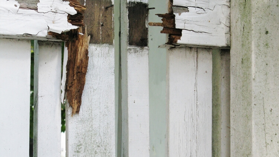 How do you know when it’s time to replace your fence?