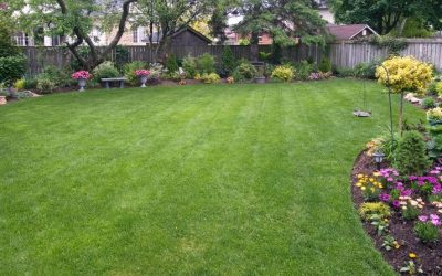 Five Low Maintenance Tips For Your Backyard