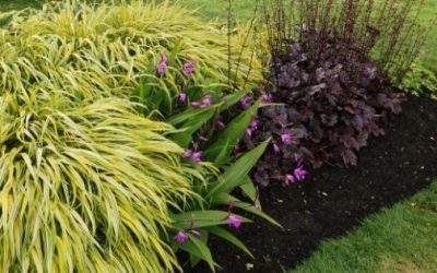 Top garden edging and border ideas for Sydney homes