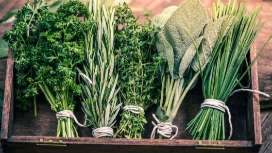 Easy herbs to grow at home