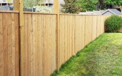 Popular fencing trends for 2022