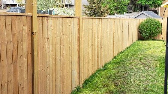 Popular fencing trends for 2022