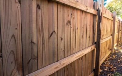 5 Tips for keeping your wooden fence maintained in Sydney