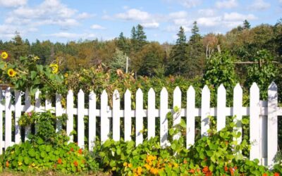 Create An Animal-Proof Fence & Protect Your Veggies!